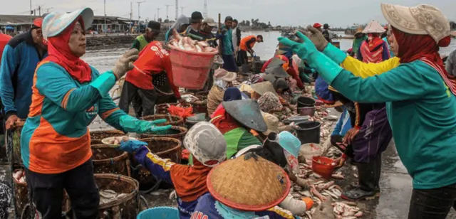 Beban Ganda di Pesisir: Studi Ungkap Kelelahan Kerja Akut pada Perempuan Pengolah Ikan Jember