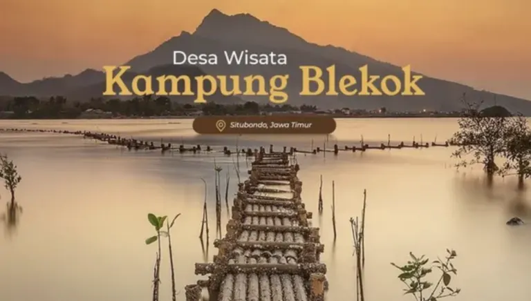 Riset Mahasiswa FKM UNEJ Evaluasi Sanitasi Ekowisata Kampung Blekok Situbondo: Perlu Kolaborasi Lintas Sektor