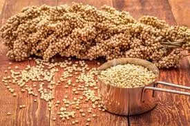 Riset FKM UNEJ: Formula Cookies Tepung Sorghum dan Kedelai Jadi Alternatif Camilan Sehat Pencegah Anemia Remaja Putri