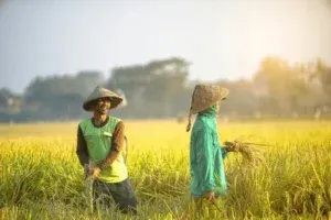 Riset FKM UNEJ: Pencahayaan Alami Rumah yang Buruk Tingkatkan Risiko Penyakit TBC pada Petani hingga 3 Kali Lipat