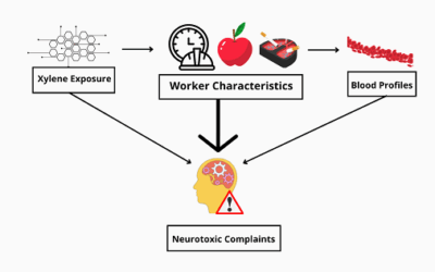 Mengintai Bahaya Tersembunyi di Balik Tinta: Studi Ungkap Dampak Paparan Xylene pada Kesehatan Pekerja Percetakan Surabaya
