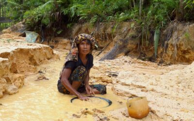 Faktor Risiko Sindrom Metabolik pada Wanita Usia Subur Terkait Paparan Timbal dan Gaya Hidup