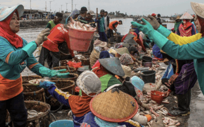Beban Ganda di Pesisir: Studi Ungkap Kelelahan Kerja Akut pada Perempuan Pengolah Ikan Jember