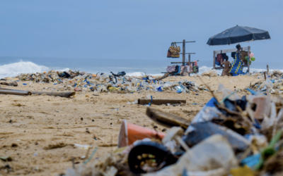 Riset Kolaborasi FKM UNEJ Soroti Krisis Sampah Pesisir Jember: Pengetahuan Warga Tinggi, Namun Implementasi Kebijakan Masih Lemah